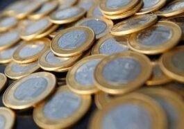 filenasme 100 - radarsigma.com - Economia