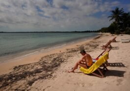 filenasme 23 - radarsigma.com - Economia