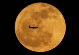 filenasme 39 - radarsigma.com - Economia