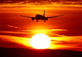 filenasme 43 - radarsigma.com - Economia