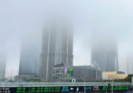 filenasme 49 - radarsigma.com - Economia