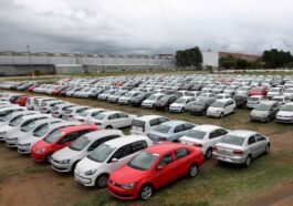 filenasme 78 - radarsigma.com - Economia